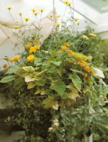 /album/inspiracje1/a1-9-jpg1/